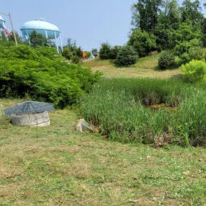 stormwater pond mowing