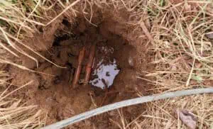 Close-up of a muddy excavation hole filled with water, showing exposed underground utility lines beneath grass.